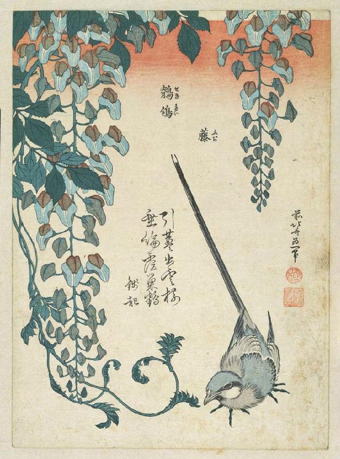 江户-葛饰北斋-藤・鶺鴒(局部).jpg