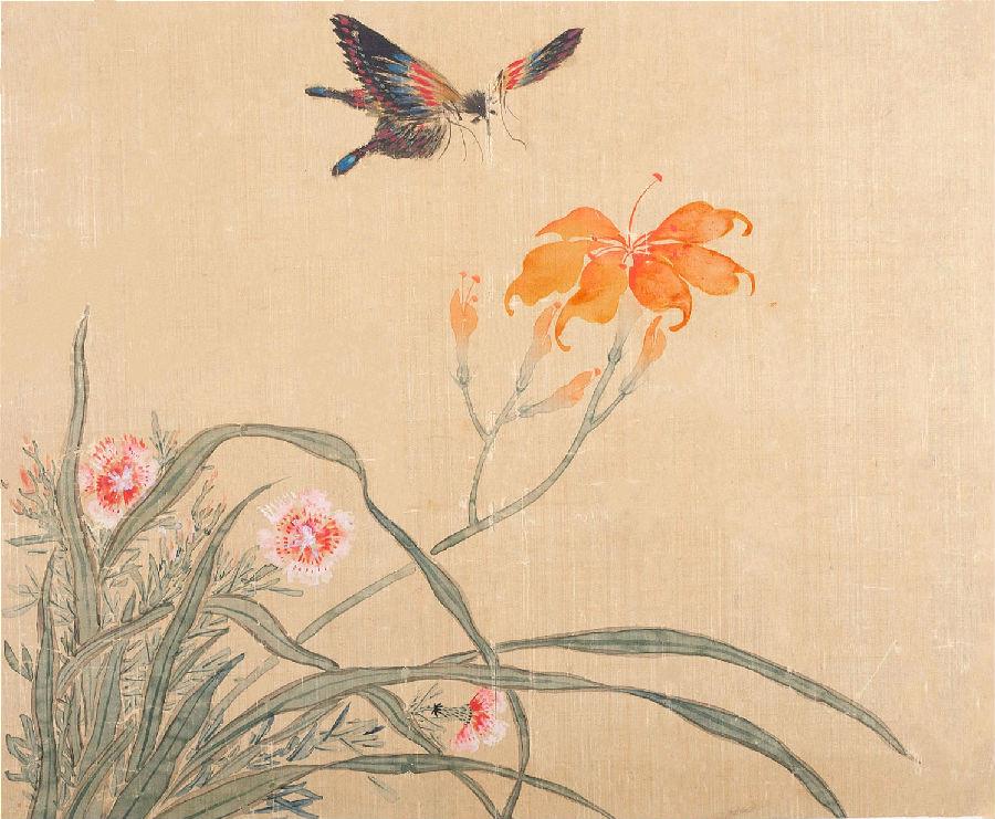 图1,清 佚名《萱花蛱蝶图》册页,北京艺术博物馆藏(艺5546:25-3).jpg