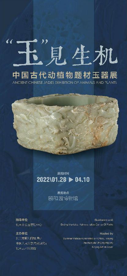 海报及前言_画板 1 副本 7.jpg